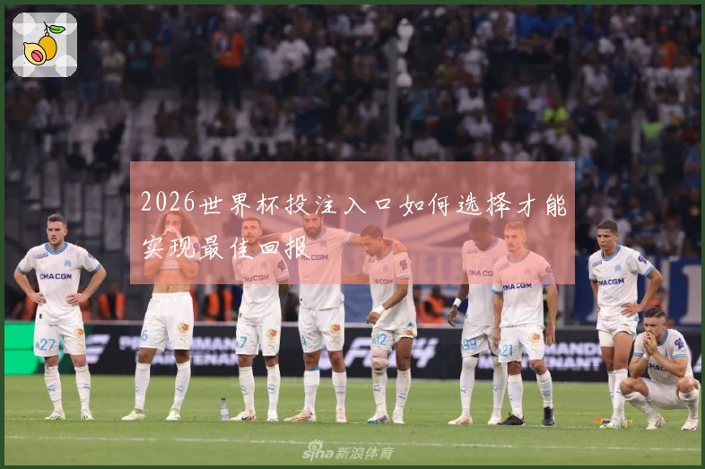 2026世界杯投注入口如何选择才能实现最佳回报