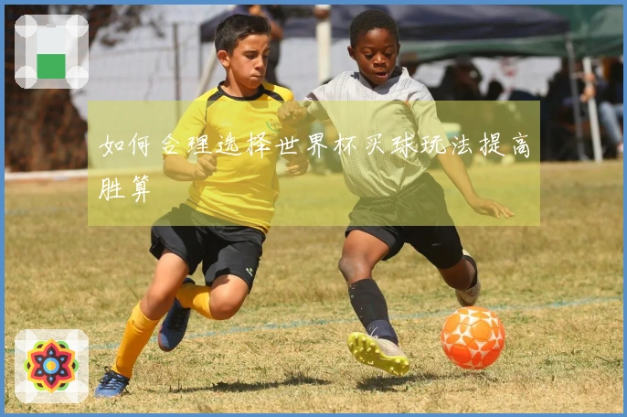 如何合理选择世界杯买球玩法提高胜算