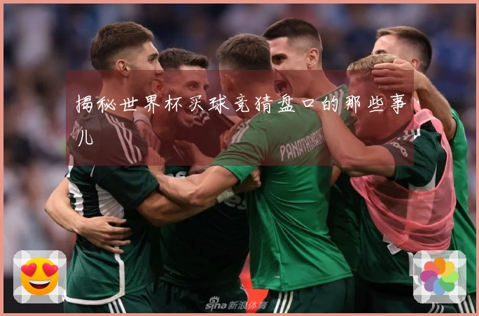 揭秘世界杯买球竞猜盘口的那些事儿