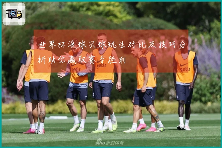 世界杯滚球买球玩法对比及技巧分析助你赢取赛季胜利